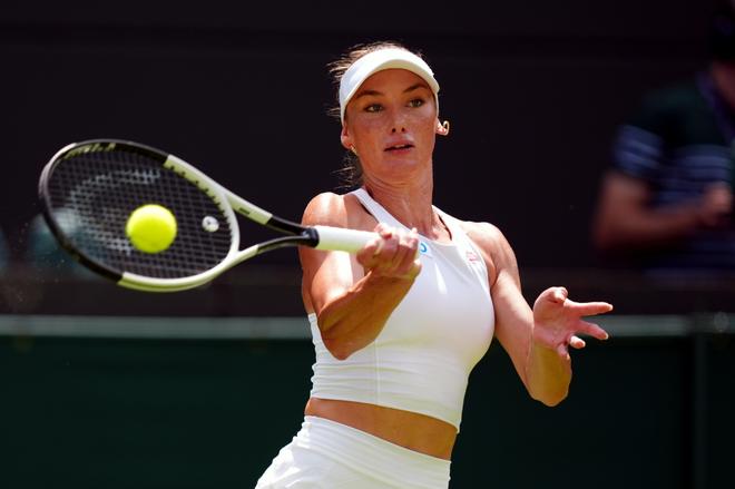 鹈鹕回到自 鹈鹕回到自